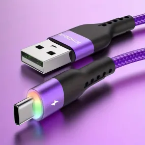 10Ft LED Fast Charging Type C Cable with High-Speed LED Indicator