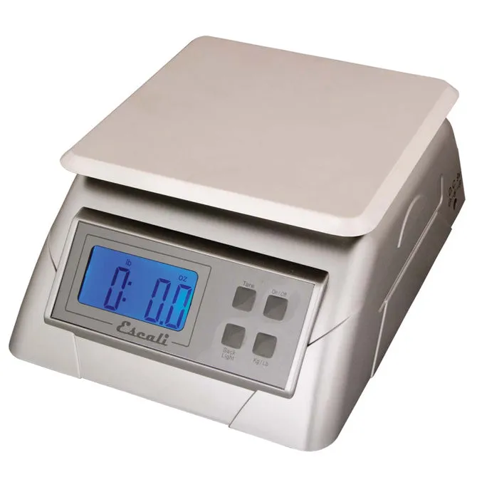 13 Lb Electronic Scale