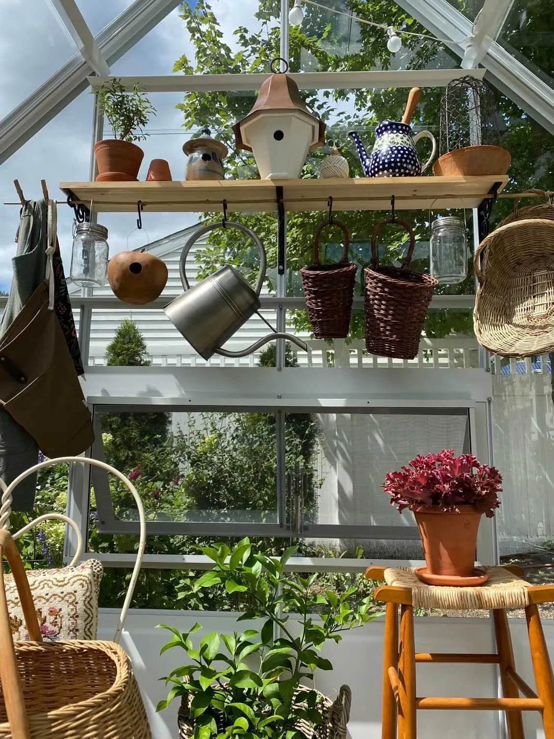 Cross Country Parkside 8X10 Glass Greenhouse
