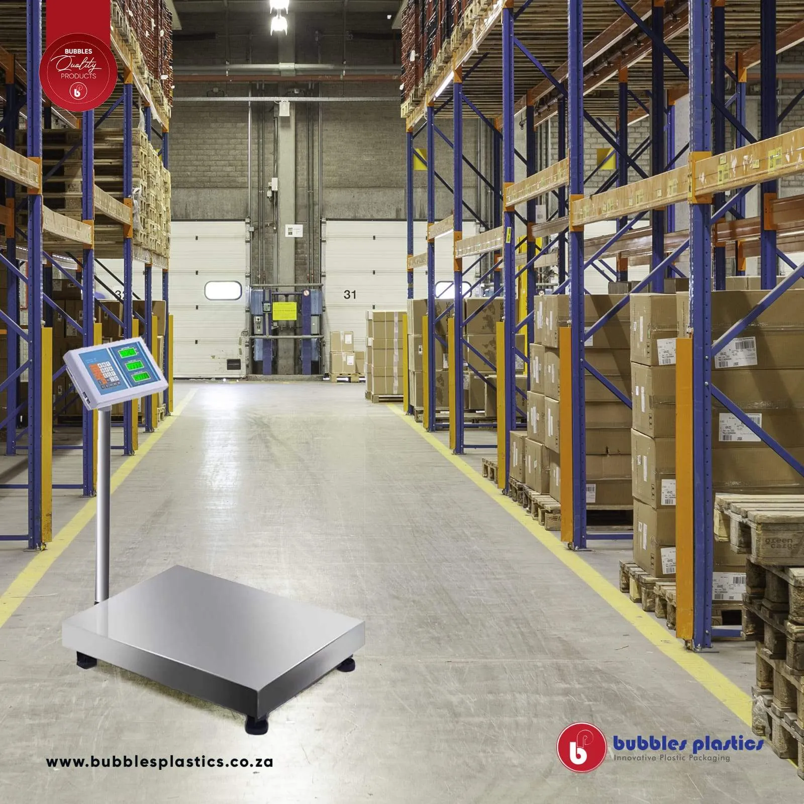 Digital Platform Scale 300kg Electronic