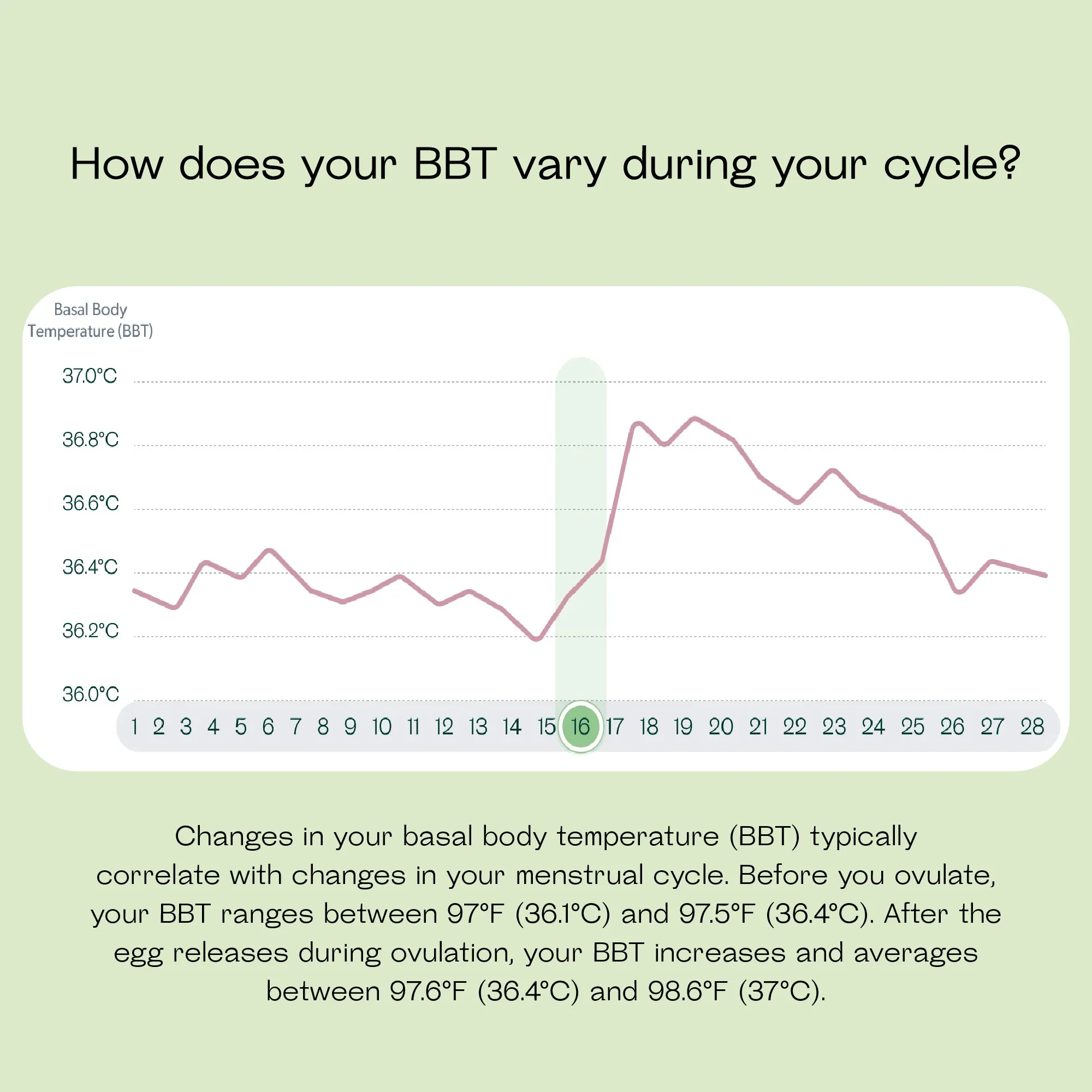 Mira Digital Basal Body Thermometer, Accurate BBT to Predict Ovulation and Fertile Days, Large Screen with Bluetooth, Connect to Mira App, 1 Count