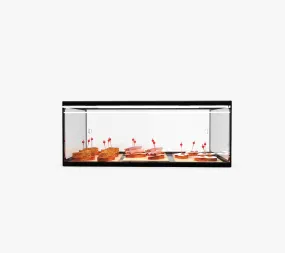 SAYL AMBIENT DISPLAY TWO TIER ADS0025 555 x 330 x 200